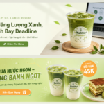 ảnh banner